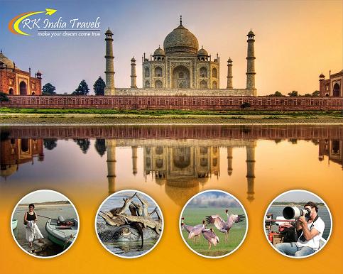 Taj Mahal with Chambal Safari