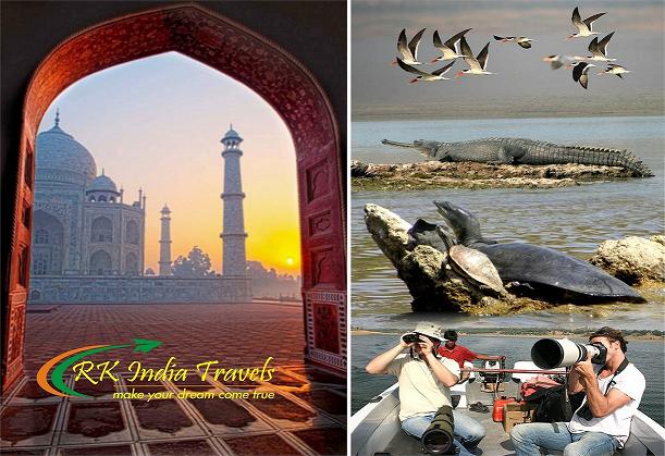 Agra Chambal Safari Day Trip