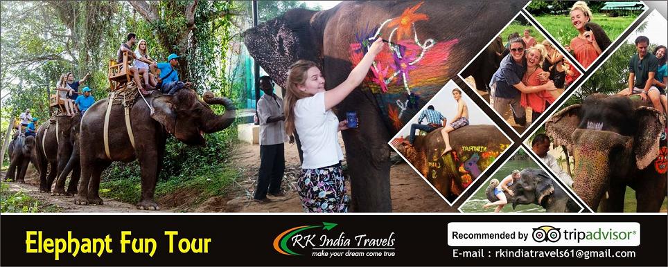 Elephant Fun